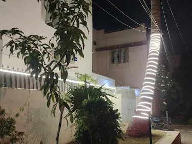 Palm-lined entrance pathway to Bhatti Salon